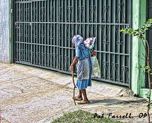 woman, el salvador, cane