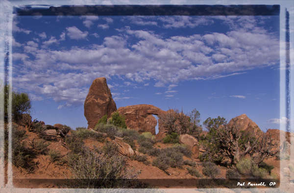 All creation gives praise to God