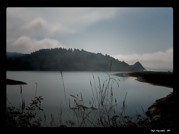 Finding the Creator in God's creation