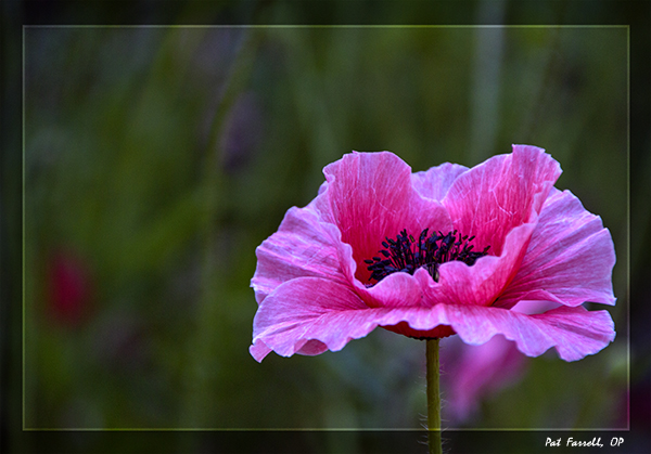 ssc_goergen_retreat_2012_028