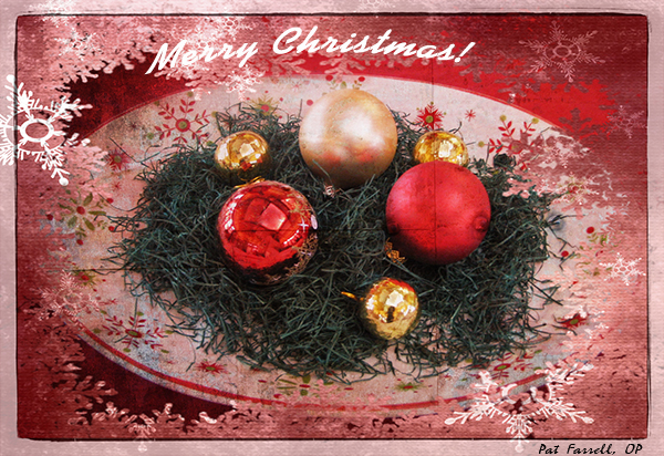 christmas celebrations