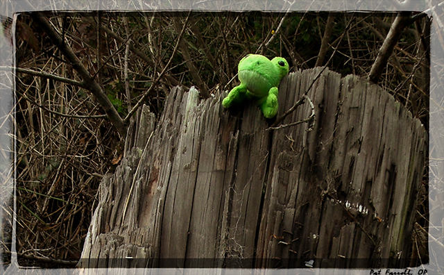 We never know what we might see when we open our eyes!