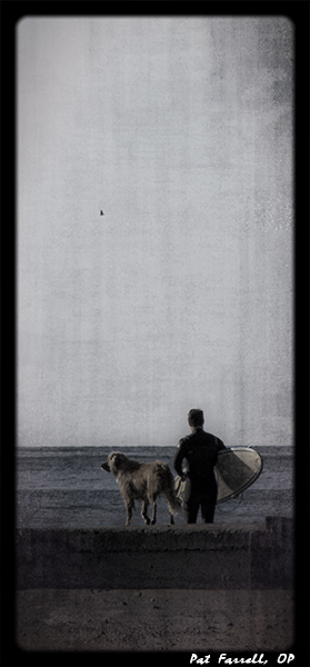 bolinas_december_2011_050