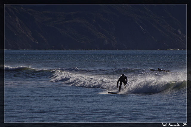bolinas_december_2011_061