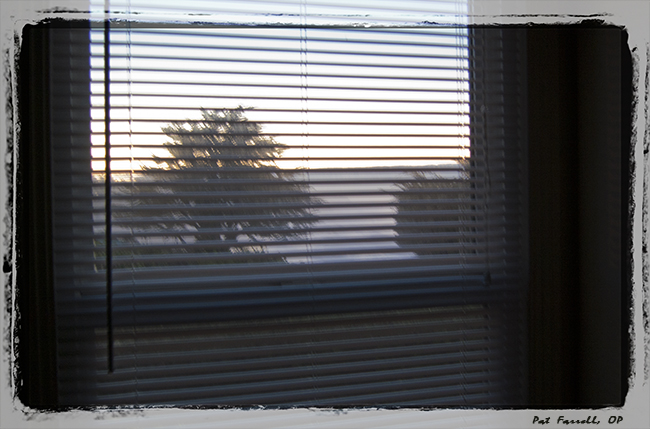 del_mar_jan_2012_001