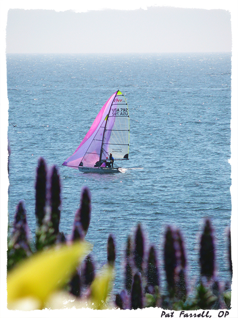 delmar_march_2007_085