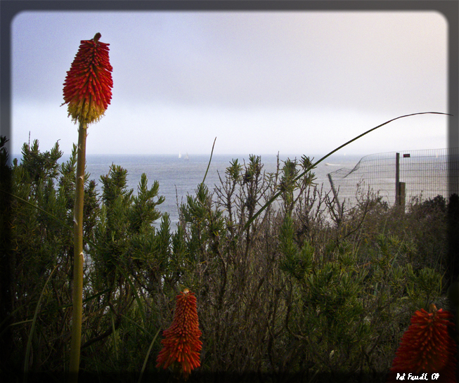 del_mar_council_2011_148