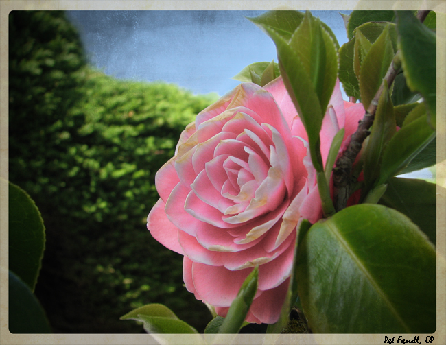 Let us rekindle our hope