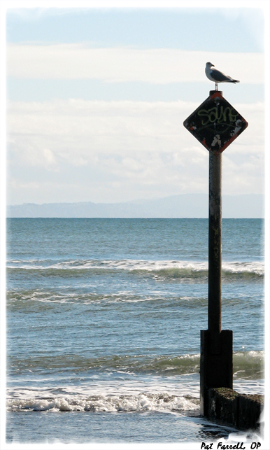 Breathing in . . . Breathing out . . .