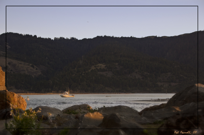 Welcoming the morning