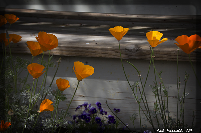 It is even at our feet!