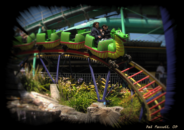 And I daresay that what child doesn't smile (and scream with delight) when riding along the curves of a roller coaster!