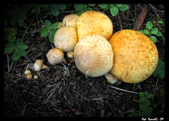 Sometimes it's good to look down!