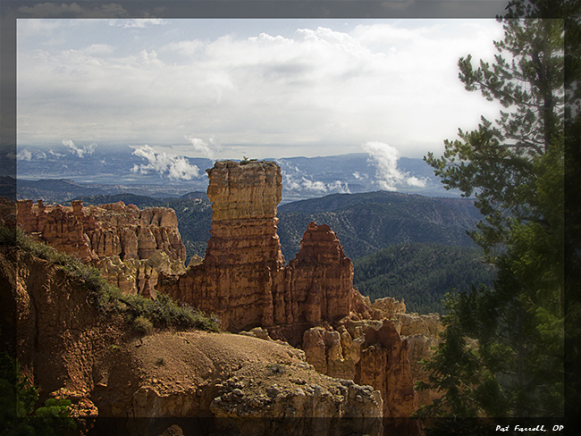 Permeated with Divine Creativity