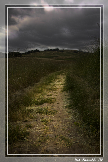 crane_creek_dark_path