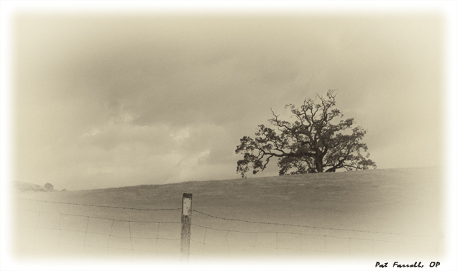 Experience the mysterious