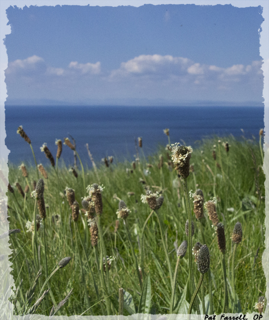 How does beauty touch your heart and soul?