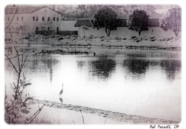 chrissy_field_04-07_009