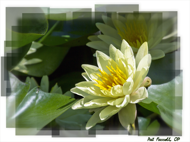 Nature - in all its uncontrollable splendor