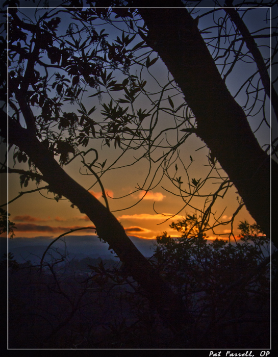 Sometimes silence is the only response to beauty