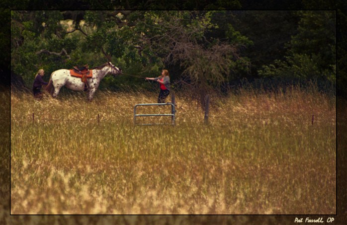 Persistence is always needed