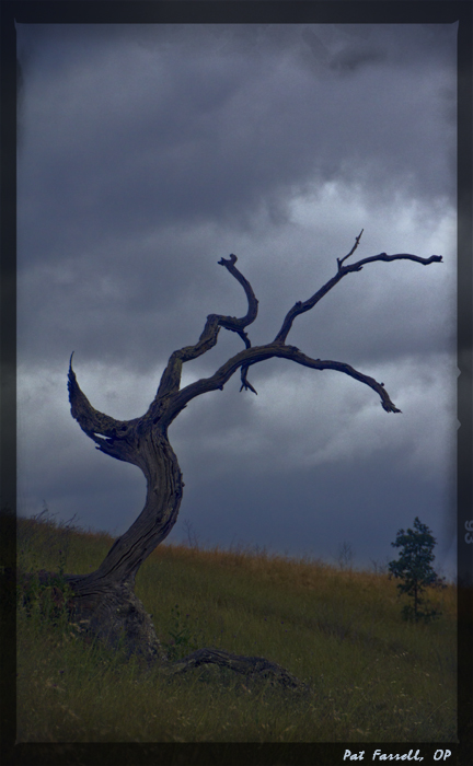 crane_creek_park_2013_113