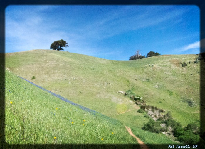 One finds in hiking that there is always one more hill
