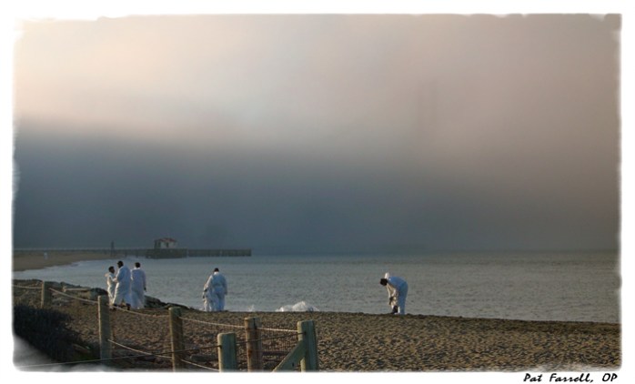 oil_in_bay_2007