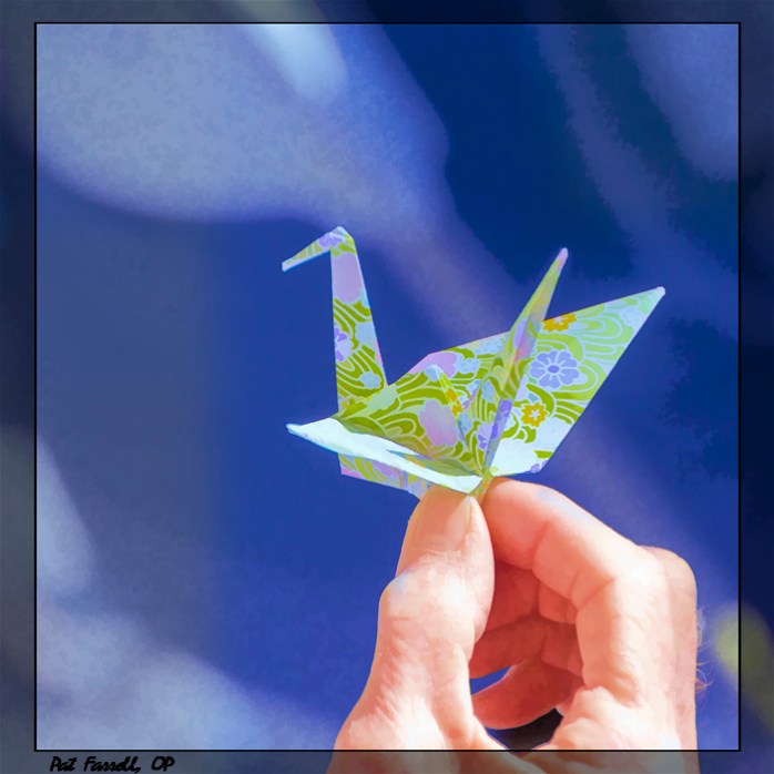 One of the many origami paper cranes from our prayer service in San Rafael in 2012