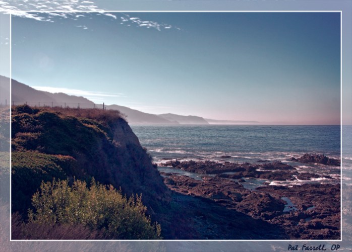 redwoods_monastery_2013_453