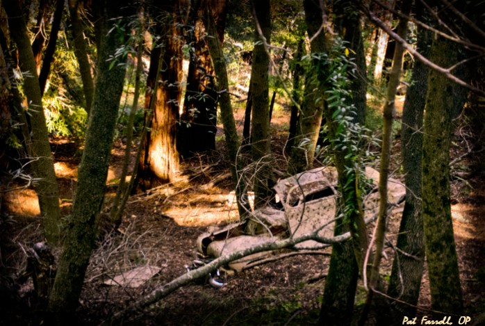 He really had a hard time parking!