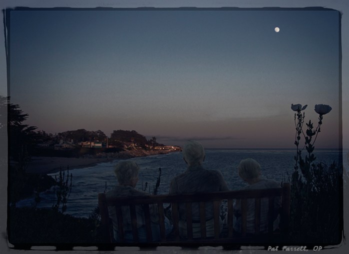 Friends enjoying the view