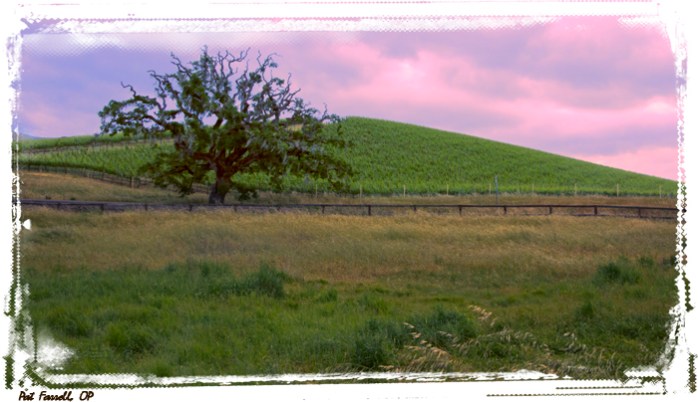 crane_creek_park_2013_051