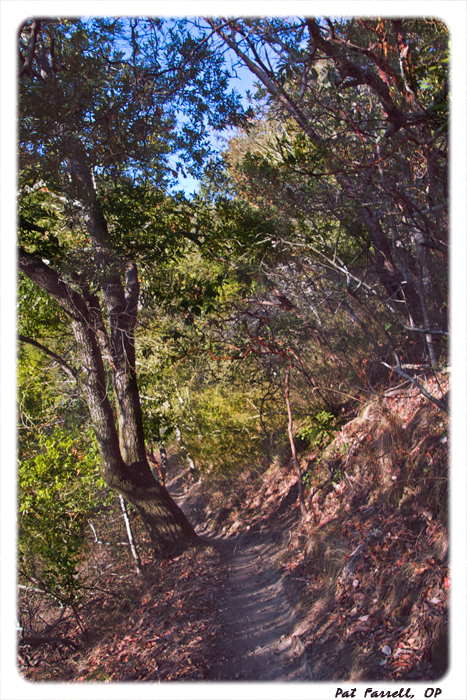 Follow whole heartedly