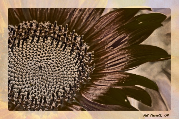 Let's pause - just for a moment