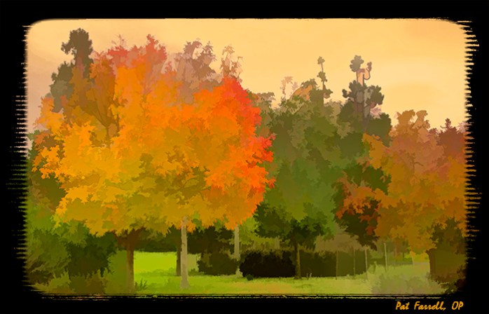 srop_autumn_property_2011_009a