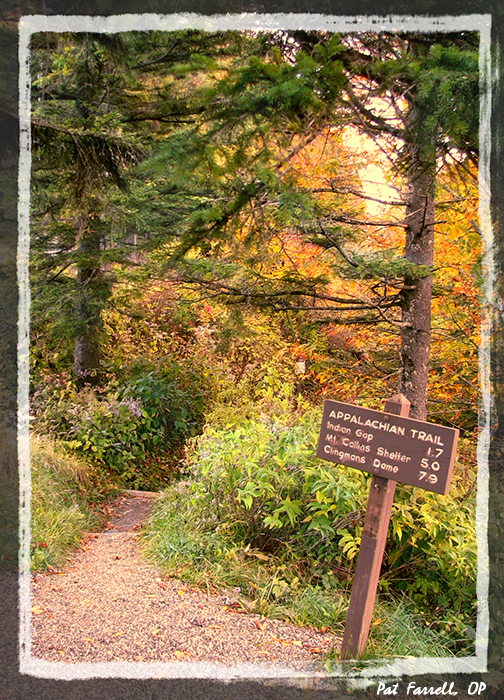 Where shall we begin?