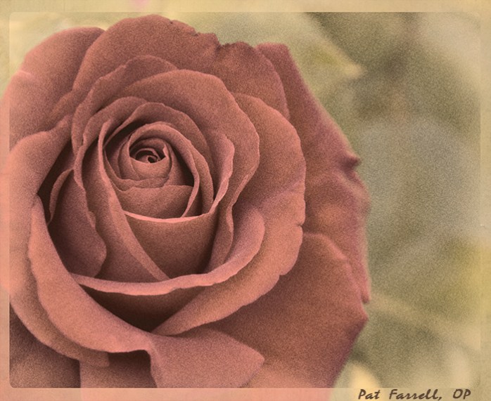 How does one spell love?