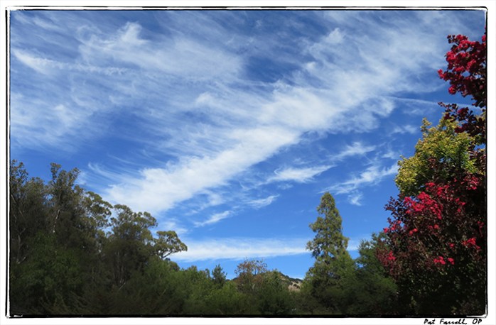 Wild Air - Wild Mothering Advent Air