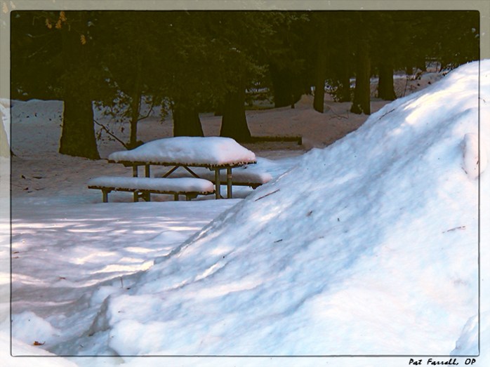 I think I'll have to wait a while for the snow to clear from this bench.