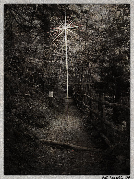 Though the way looks dark, shall I follow?