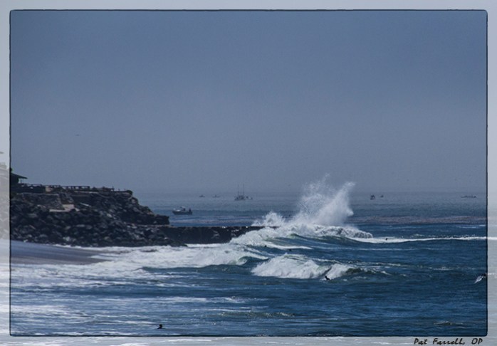 council_delmar_2012_120