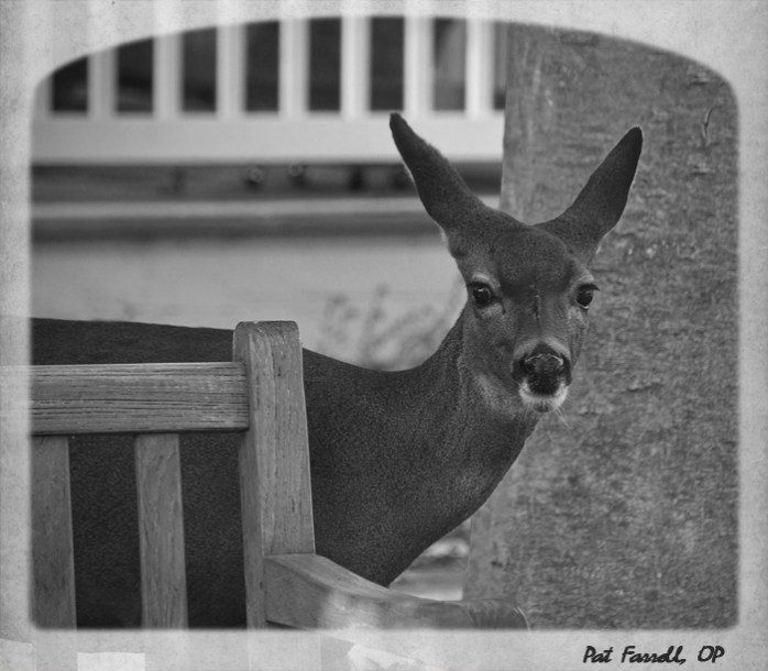 How do you sense God's closeness?