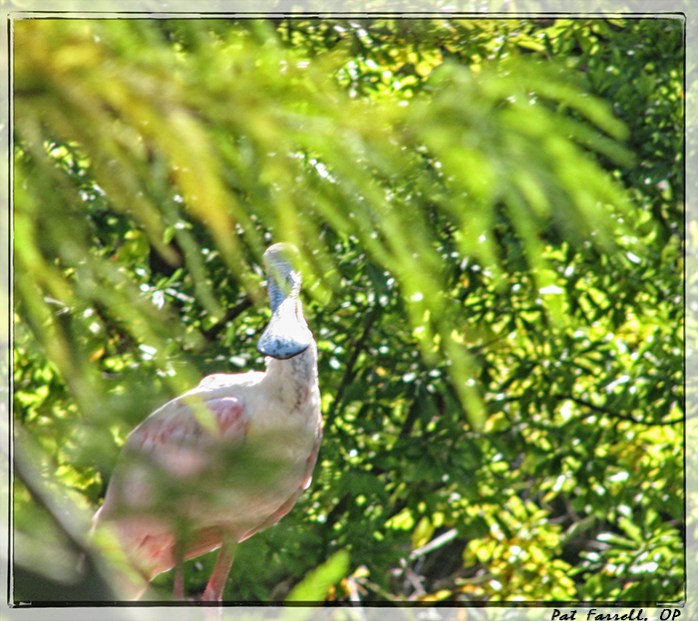 What makes you curious?