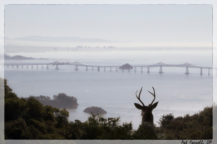 And our earth family awaits our reply