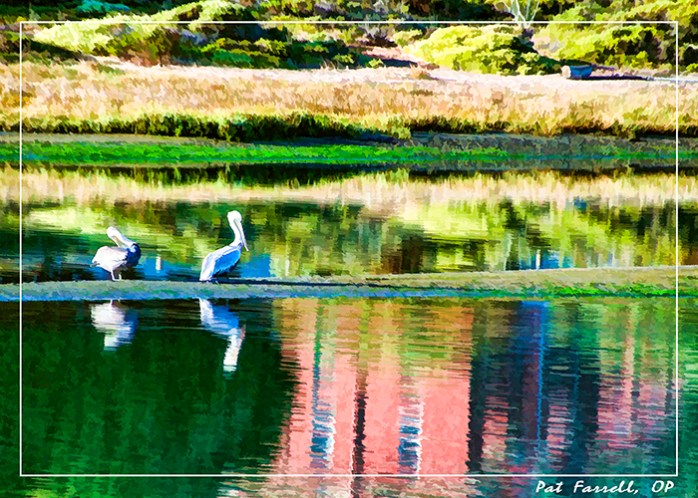 So much has been given to me!