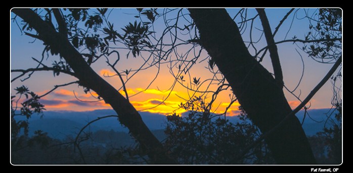 Healing salve for the eyes