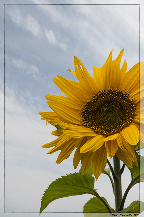 After all, everything is flawed