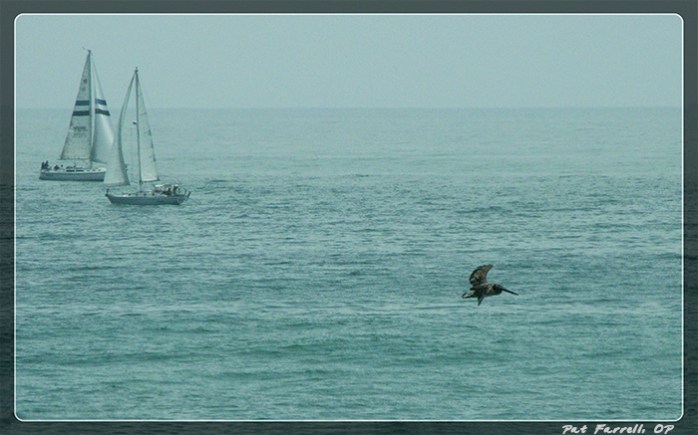 Forgiveness can free us to truly fly