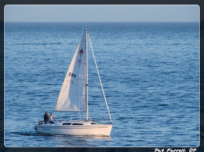 These two are definitely doing what brings them joy